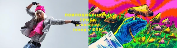 PSILOCYBIN Киренск