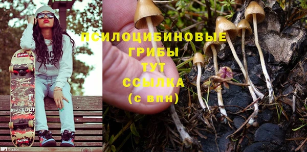 PSILOCYBIN Киренск