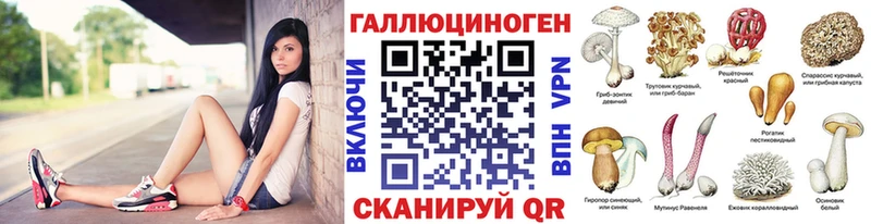 Купить закладки  Новошахтинск  Галлюциногенные грибы Psilocybine cubensis 